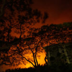 iPhoneの特殊機能が命を救った！ハワイ・マウイ島の山火事での驚きのエピソード