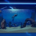 今度のマッチョは癒し系？『マチョリウム』で自分だけのリラックスマッチョを作ろう