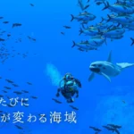 楽しみにしてた「フォーエバーブルー」に10時間を費やした結果…