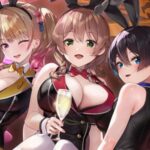 「バニーガーデン」Switchパッケージ版の完全版を出して叩かれる結果に