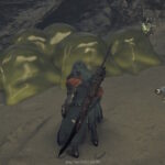 これで安心？『モンハンワイルズ』に「蜘蛛恐怖症対策モード」が追加されるwww